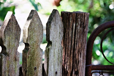 7 Essential Garden Fence Maintenance Tips for Year-Round Protection & Care