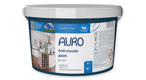 What Is Natural Mould Resistant Paint – And Does It Work Vs Regular Paint?