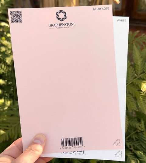 Grafclean Natural Emulsion - Briar Rose - Graphenstone