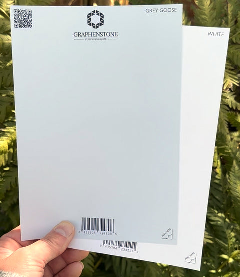 Grafclean Natural Emulsion - Grey Goose - Graphenstone