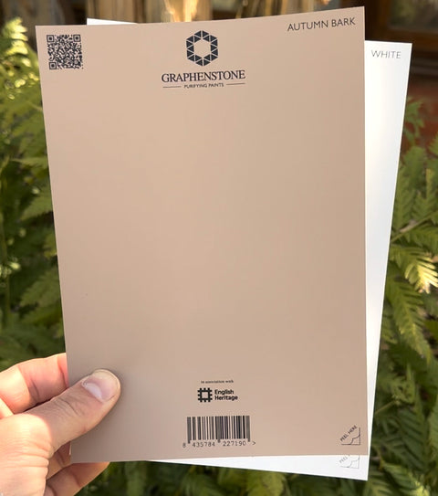 Grafclean Natural Emulsion - Autumn Bark - Graphenstone