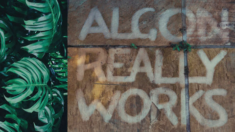 Algon Organic Path, Eco Patio & Decking Cleaner