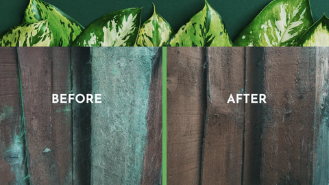 Algon Organic Path, Eco Patio & Decking Cleaner