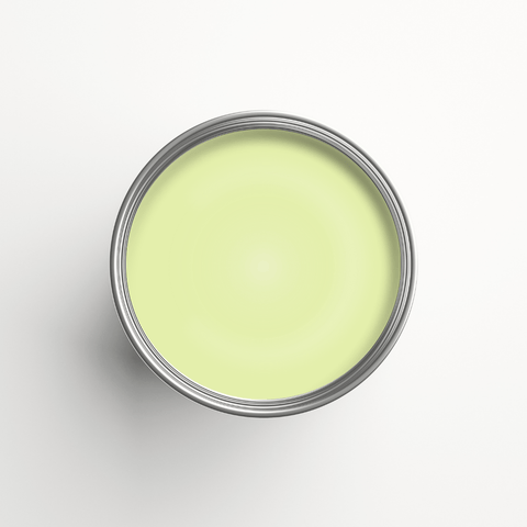 Natural Emulsion Paint - Auro 555 - Lime Peel 20