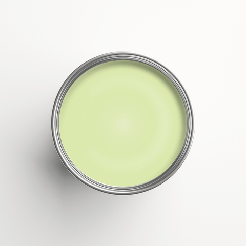 Natural Emulsion Paint - Auro 555 - Spring Green 20