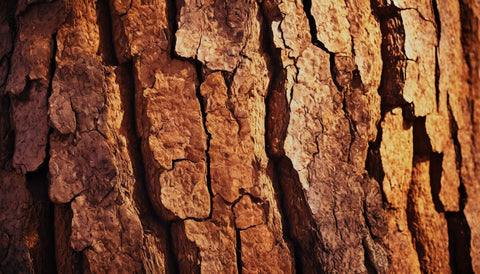 Auro 396 - Cork Filler