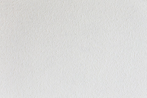 Auro 505 - Universal Primer & Grip Coat (Fine)