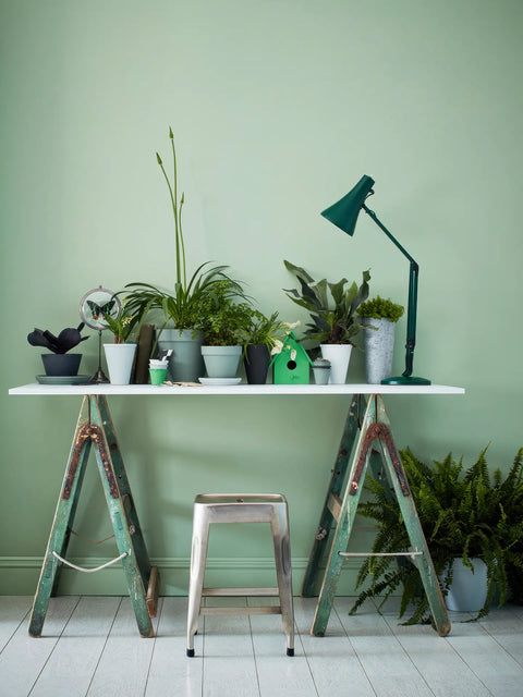 Earthborn Claypaint - Cricket