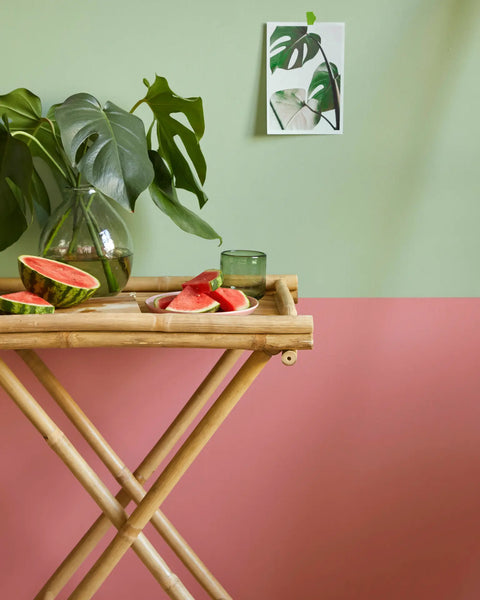 Earthborn Lifestyle Emulsion - Cricket