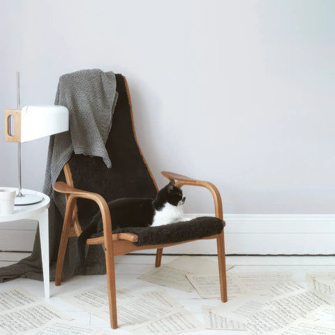 Earthborn Lifestyle Emulsion - Eyebright