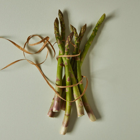 Earthborn Eggshell No.17 - Fiddlesticks