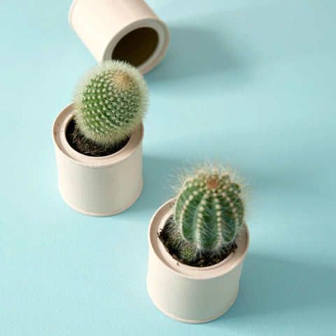 Earthborn Lifestyle Emulsion - Milk Jug
