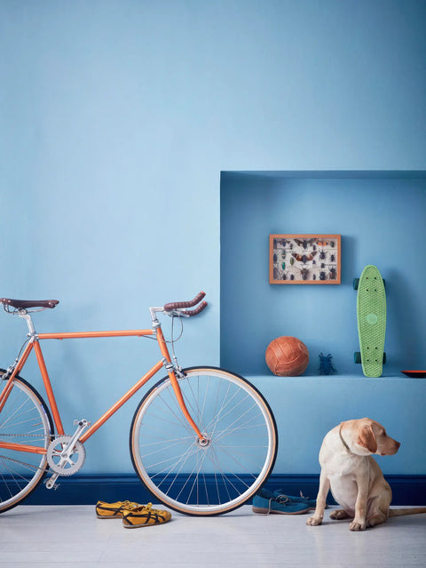 Earthborn Lifestyle Emulsion - Toy Soldier