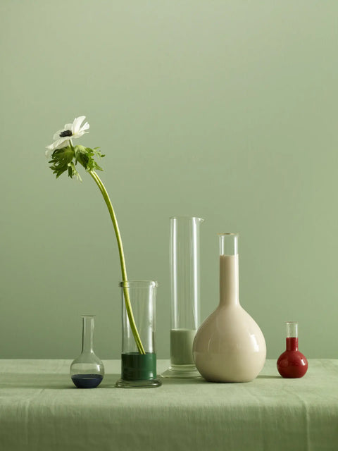 Earthborn Eggshell No.17 - Sapling