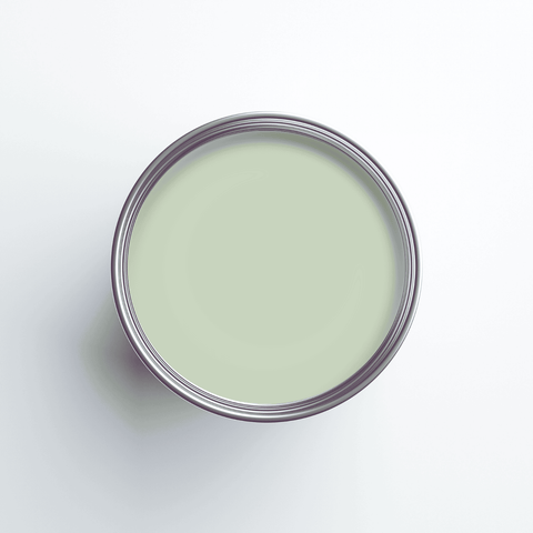 Earthborn Eggshell No.17 - Sapling