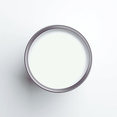 Earthborn Lifestyle Emulsion - Seagull