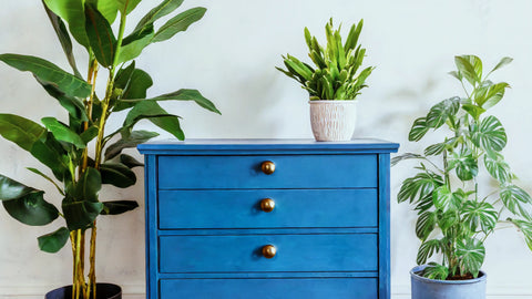 Earthborn Eco Chic