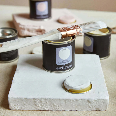 Earthborn Silicate Masonry Paint