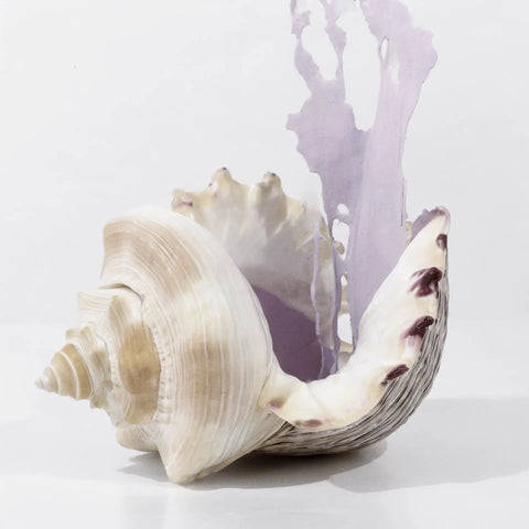 Earthborn Silicate Masonry Paint - Seashell