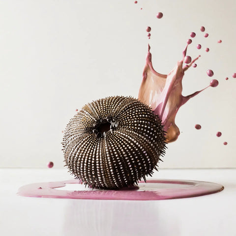 Earthborn Silicate Masonry Paint - Urchin