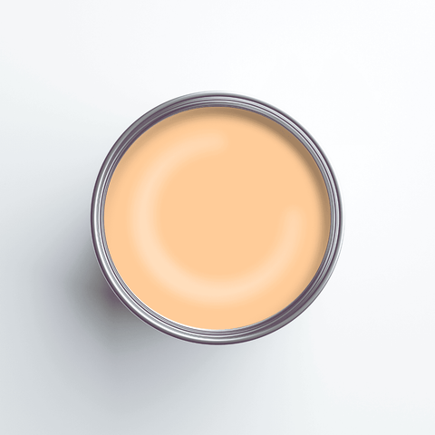 Earthborn Silicate Masonry Paint - Apricot