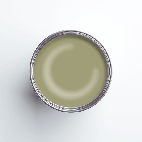 Earthborn Silicate Masonry Paint