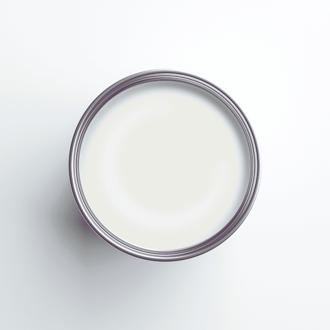 Earthborn Silicate Masonry Paint - Pumice