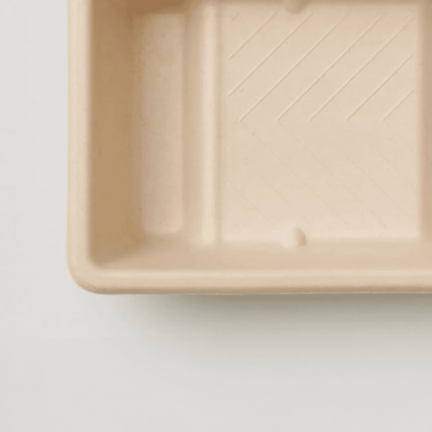 Licktools Eco Bio-Degradable Sugar Cane Paint Tray
