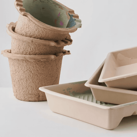 Licktools Eco Bio-Degradable Sugar Cane Paint Tray