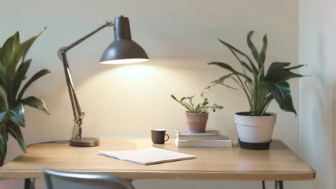 Water Based Eggshell Natural Paint, Auro 517 - Cool Hint