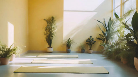 Natural Emulsion Paint - Auro 555 - Lime Peel 20