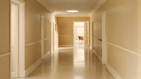 Water Based Eggshell Natural Paint, Auro 517 - Sunset Yellow 25