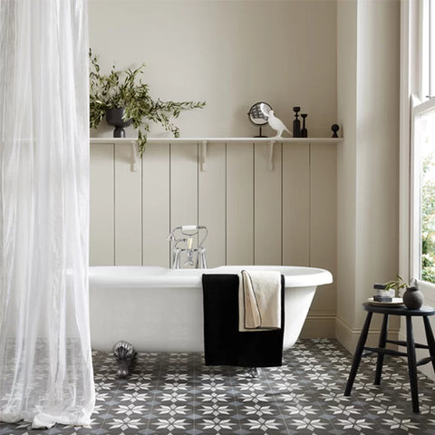 Best Anti Mould Paint for Bathrooms - Why Natural Paints are Highly Effective