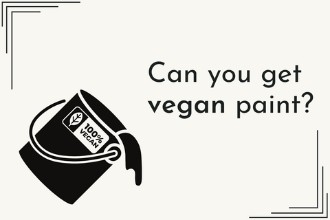 Can You Get Vegan Paint? - Greenshop Paints
