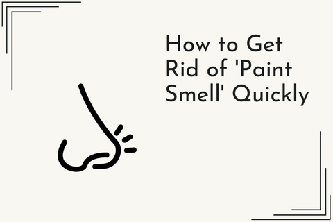 How to Get Rid of 'Paint Smell' Quickly