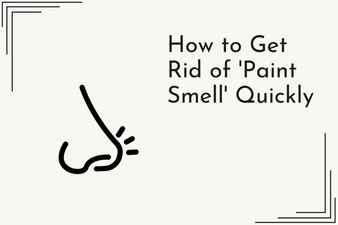 How to Get Rid of 'Paint Smell' & Reduce Paint Fumes Quickly