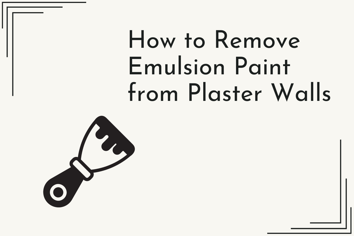 How to Remove Emulsion Paint from Plaster Walls – Greenshop Paints