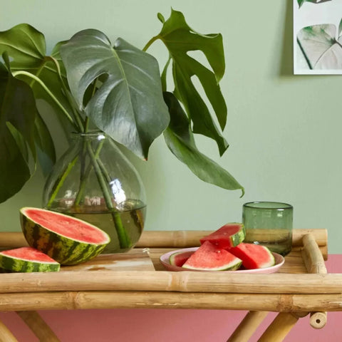 What is Plant Based Paint? Eco Friendly & Sustainable Ingredients
