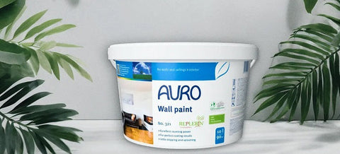 Best Damp Proof Paint for Interior Walls