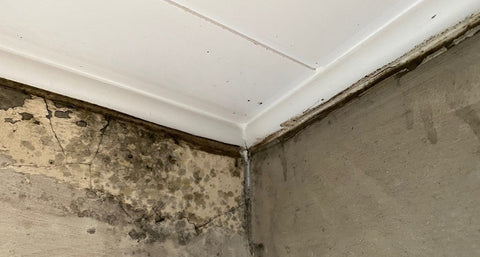 How to Get Rid of Mould on Bathroom Ceilings & Walls