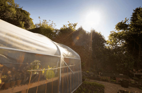 Best non toxic exterior paints for vegetable gardens