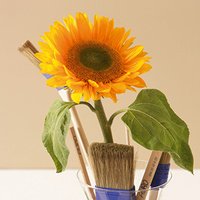 Painting a greenhouse, eco friendly step by step guide