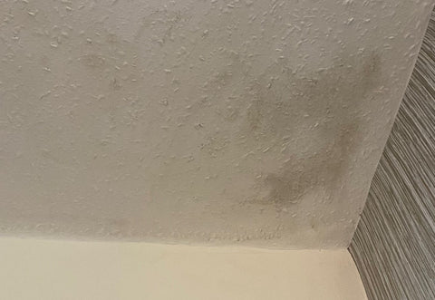 How to Remove Mould from Ceilings