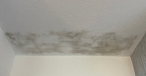 How to Remove Mould from Wallpaper Naturally - Anti Mould Cleaning Tips