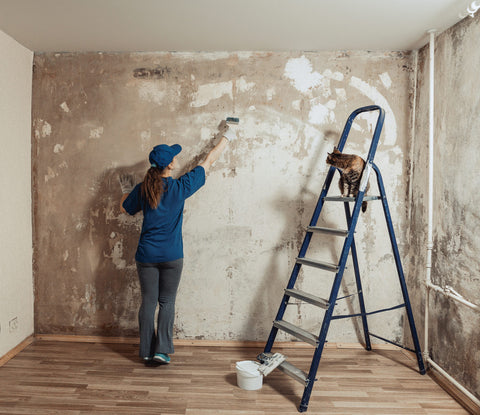 Natural sugar soap alternative for washing walls before painting