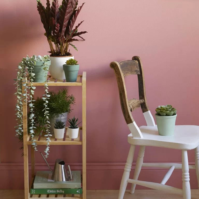 Earthborn Paint Colours | Natural Claypaint Shades – Greenshop Paints