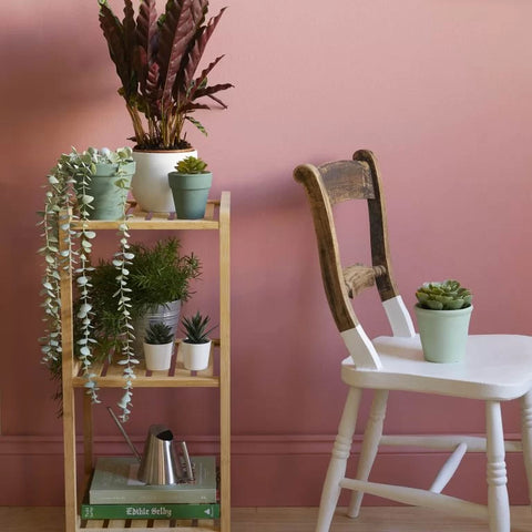 Earthborn Paint Colours