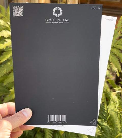 Grafclean Natural Emulsion - Ebony - Graphenstone