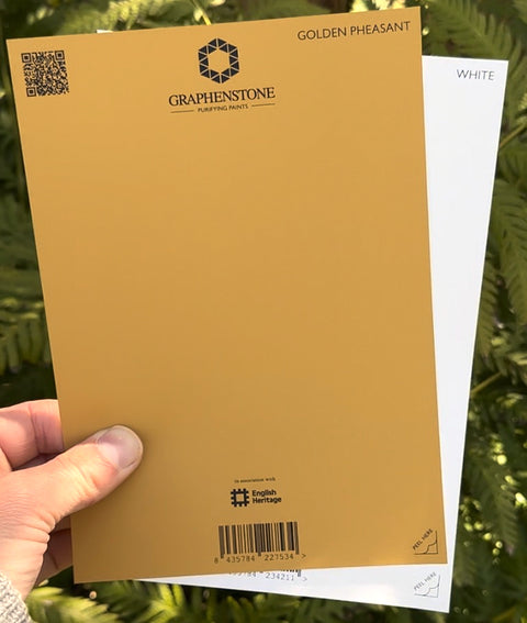 Grafclean Natural Emulsion - Golden Pheasant - Graphenstone