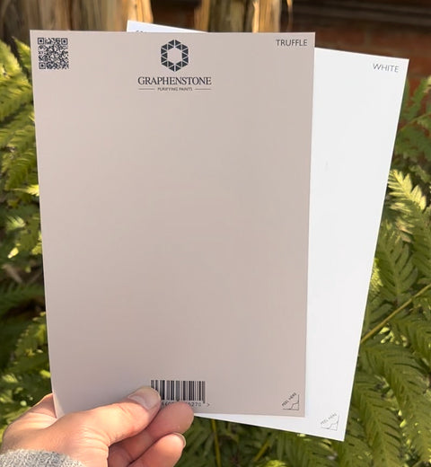 Grafclean Natural Emulsion - Truffle  - Graphenstone